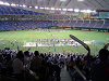 DSC00501_thumb.png
